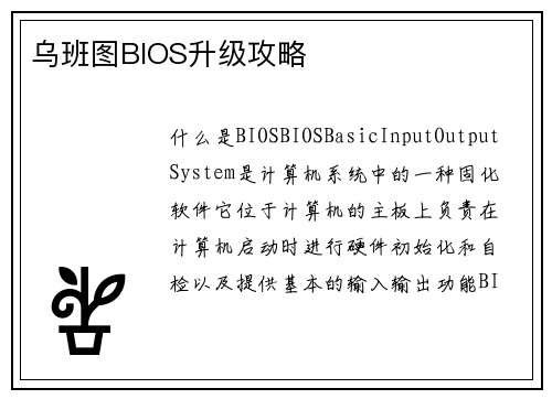 乌班图BIOS升级攻略