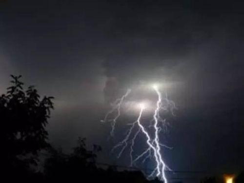 雷殛元首,揭秘雷殛元首的传奇故事