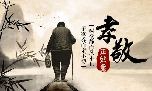 子欲孝悔无时,珍惜当下，传承孝道